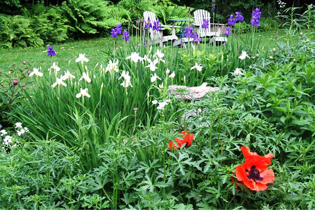 B&B Hillhouse Lac-Brome Luaran gambar